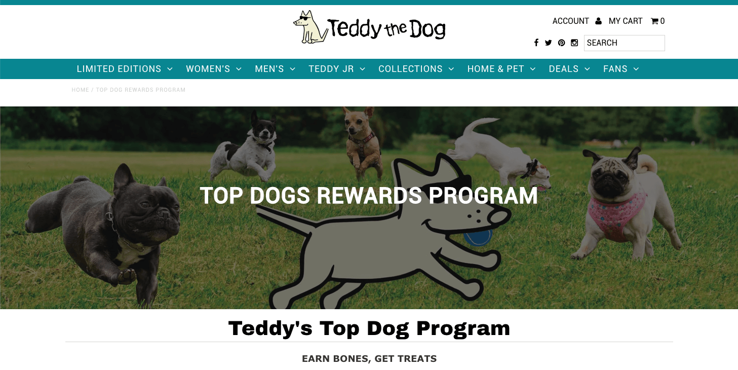 teddy the dog's top dogs explainer page
