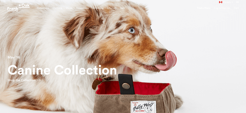 frank + oak canine collection