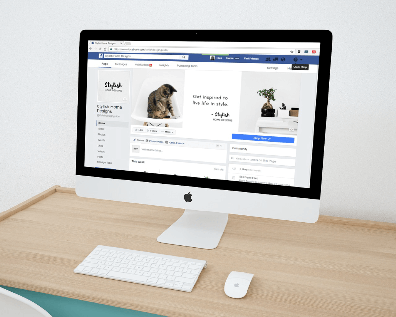 Getting the Most Out of Facebook Canvas