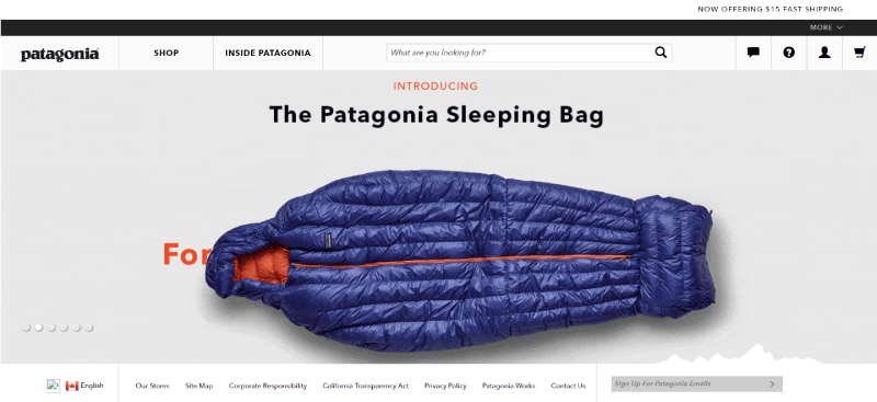 patagonia homepage
