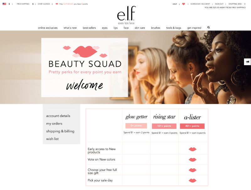 customer segmentation brand loyalists experiential rewards elf