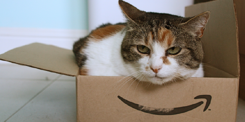 Is Amazon Killing Your Brand?