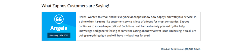 Best Customer Experiences Zappos Customer Review