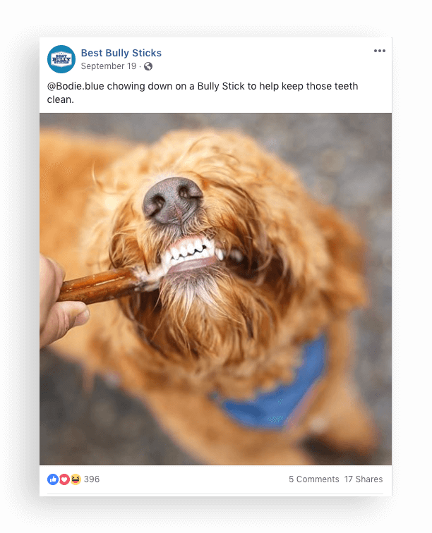 How to build a rewards program in pet supplies - best bully sticks facebook
