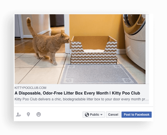 How to build a rewards program in pet supplies - kitty poo club