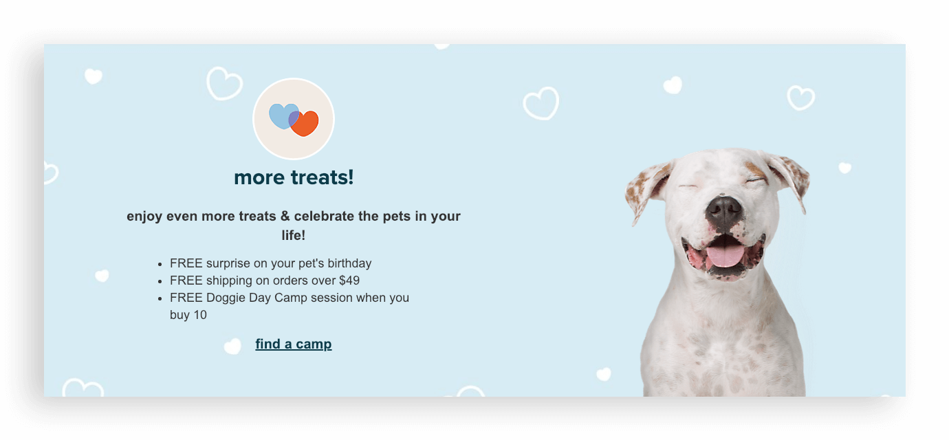 Loyalty Pet Treats — Stratosphere Creative