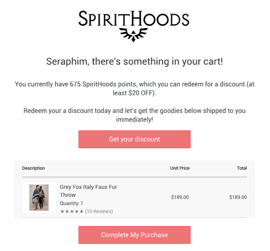 brands using rewards to get repeat customers - SpiritHoods abandoned cart 
