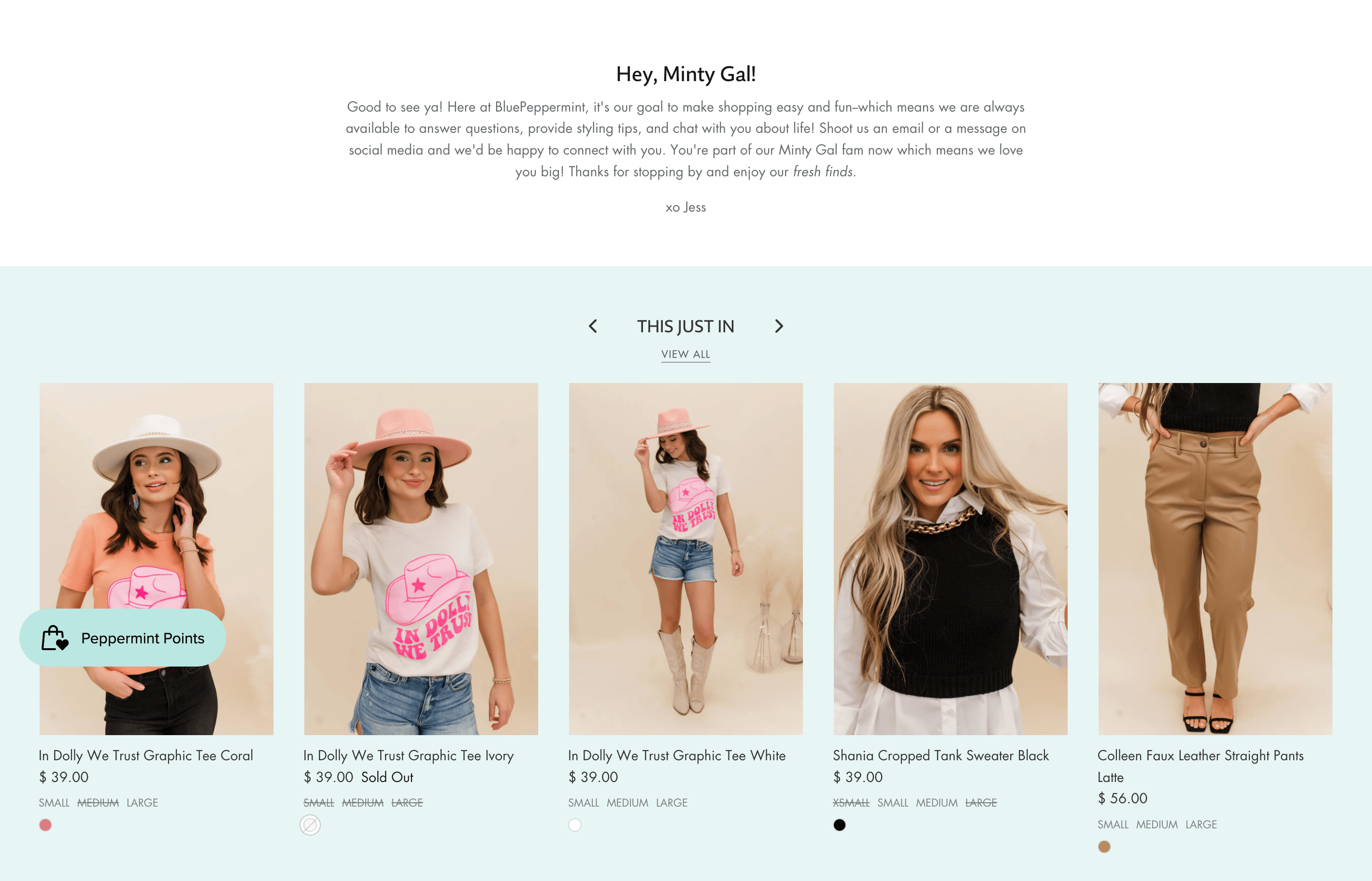 Women Ecommerce Entrepreneurs–A screenshot from Blue Peppermint Boutique’s homepage. There is a message that is titled, “Hey, Minty Gal!”. There are then 5 product images of women wearing different clothing items. 