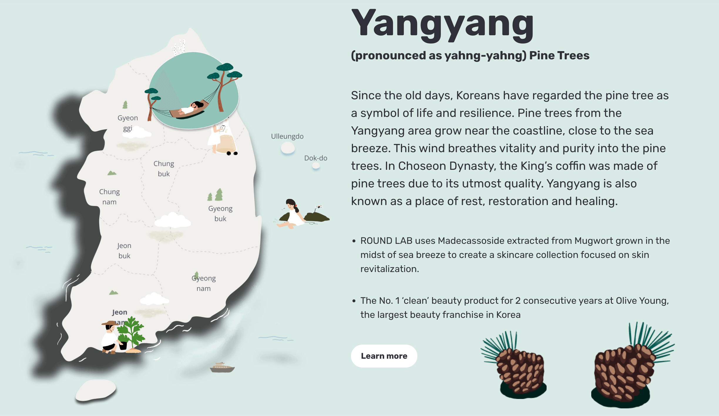 Storytelling Brands–A screenshot taken from Round Lab’s website of the description of its Pine Tree line: Yangyang (pronounced as yahng-yahng) Pine Trees Since the old days, Koreans have regarded the pine tree as a symbol of life and resilience. Pine trees from the Yangyang area grow near the coastline, close to the sea breeze. This wind breathes vitality and purity into the pine trees. In Choseon Dynasty, the King’s coffin was made of pine trees due to its utmost quality. Yangyang is also known as a place of rest, restoration and healing. ROUND LAB uses Madecassoside extracted from Mugwort grown in the midst of sea breeze to create a skincare collection focused on skin revitalization. The No. 1 ‘clean’ beauty product for 2 consecutive years at Olive Young, the largest beauty franchise in Korea. Surrounding the bio are cartoon pinecones and a map of the South Korean peninsula. 