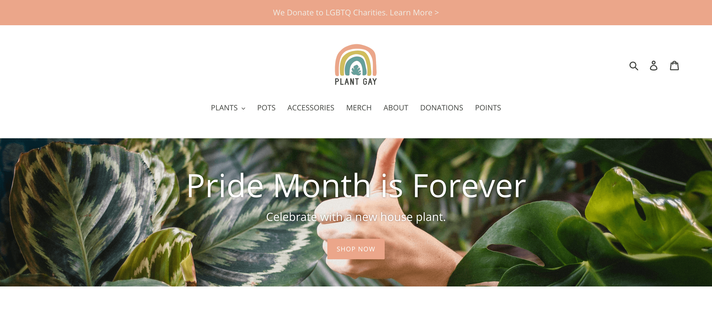 A screenshot of Plant Gay’s homepage on its website. The banner image is a thumbs-up in the middle of several plants, with text overtop: Pride Month is Forever. Celebrate with a new house plant. The call-to-action is Shop Now.