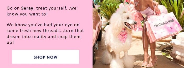 A screenshot from the body of Pretty Little Thing’s cart abandonment email. The email is branded in pink color, custom font, and there is an image of a woman holding a Pretty Little Thing shopping bag while petting a white poodle dog. The text says: Go on Seray, treat yourself…we know you want to! We know you’ve had your eye on some fresh new threads…turn that dream into reality and snap them up! Shop Now. 