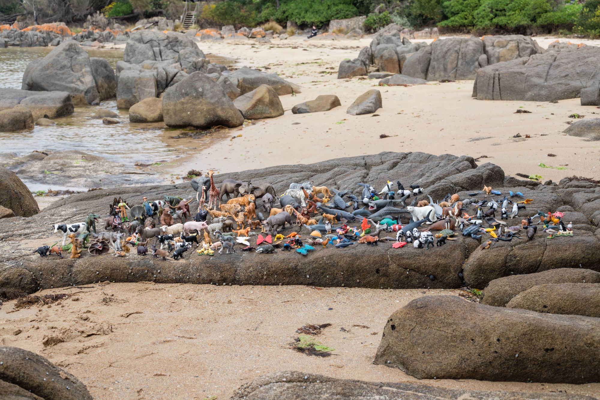 a multitude of mini figurine animal toys on top of a rock on a beach