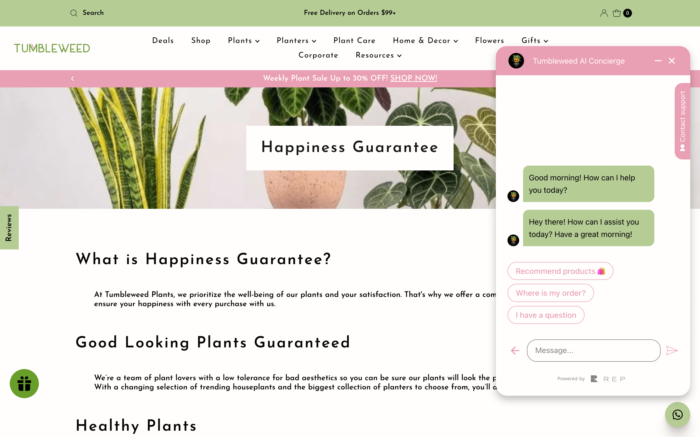 A screenshot from Tumbleweed’s website page for its Happiness Guarantee. The text says: What is Happiness Guarantee? At Tumbleweed Plants, we prioritize the well-being of our plants and your satisfaction. That's why we offer a comprehensive guarantee to ensure your happiness with every purchase with us. Good Looking Plants Guaranteed We’re a team of plant lovers with a low tolerance for bad aesthetics so you can be sure our plants will look the part. With a changing selection of trending houseplants and the biggest collection of planters to choose from, you’ll always find something you love.There is also a pop-up box on the right side of the page showing its AI live chat. The bot messaged: Good morning! How can I help you today? There are 3 suggested responses: Recommended products, Where is my order? and I have a question.  