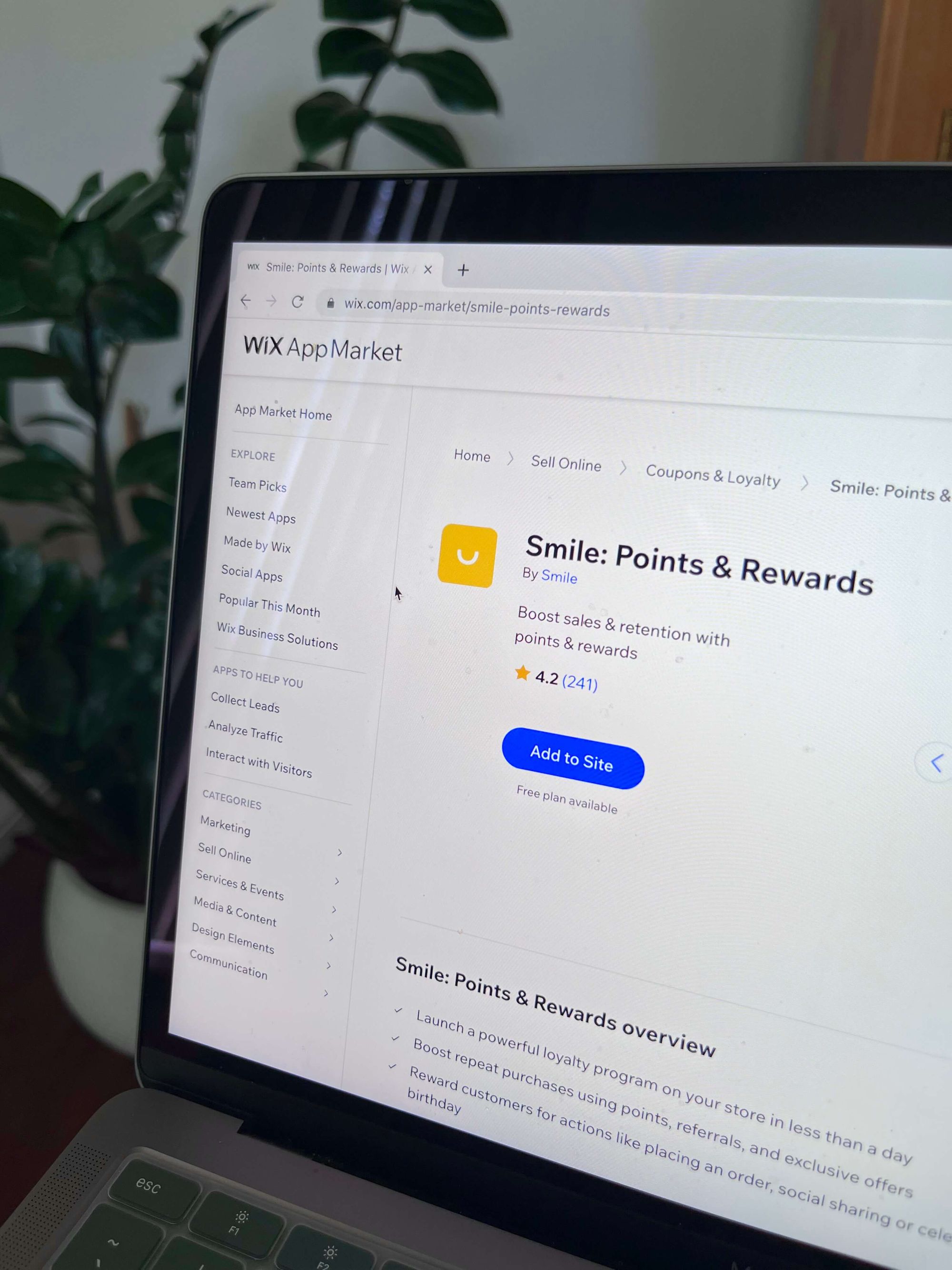 How to Create a Loyalty Program on Wix