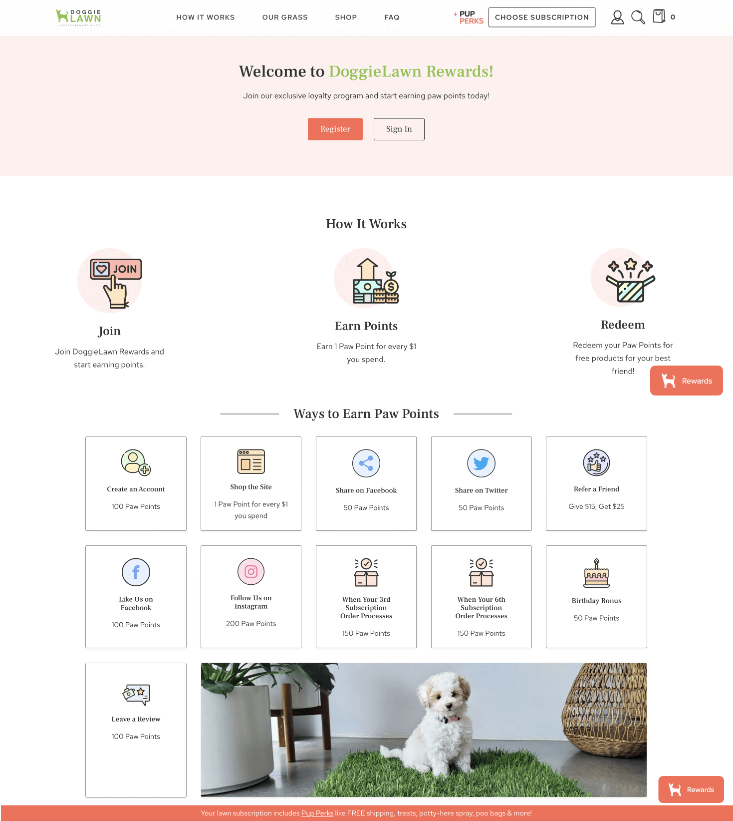 A screenshot of the DoggieLawn Rewards explainer page showing how to join, earn points, and redeem rewards. It highlights the various ways to earn Paw Points with a branded icon and description of each action and how much it is worth in points. 