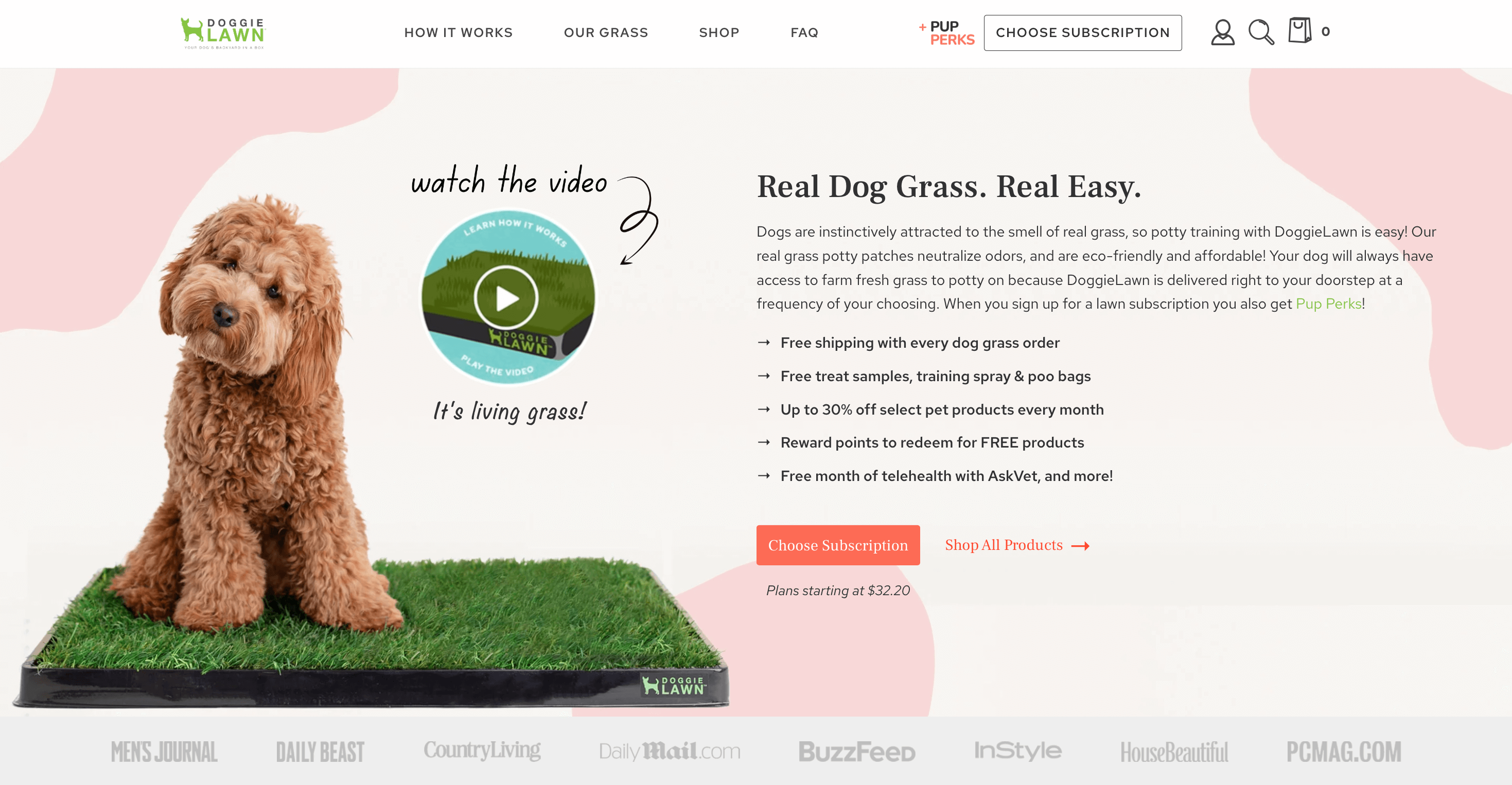 A screenshot of DoggieLawn’s homepage showing an explanation of its real grass pads for dogs. There is an image of a golden doodle dog sitting on a grass pad next to a description of the product with the title Real Dog Grass, Real Easy. There is also a link to a video that explains how the product works. 
