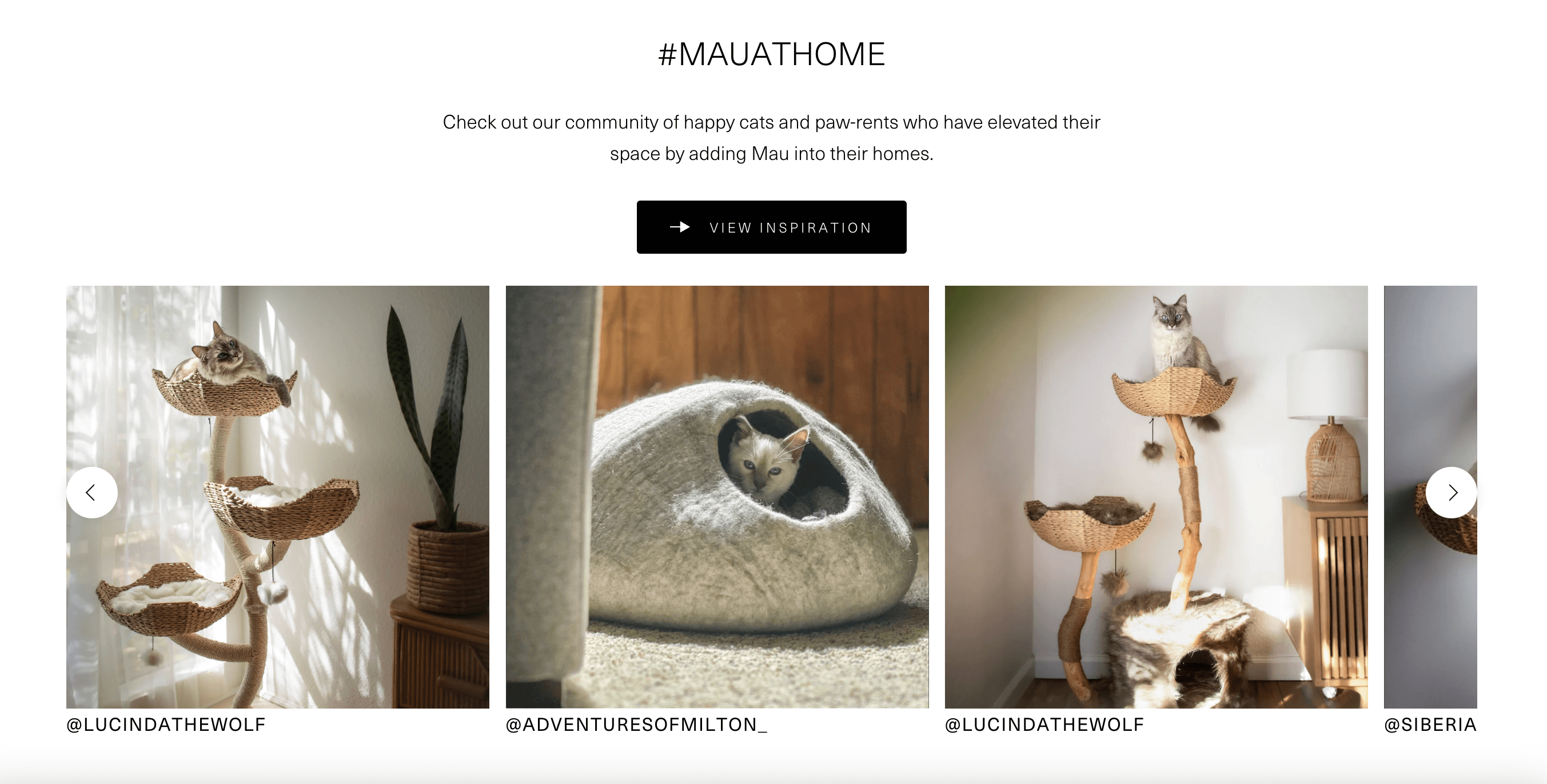 A screenshot from Mau’s homepage of a section called hashtag Mau At Home showing customers’ Instagram posts with their pets using the products. 