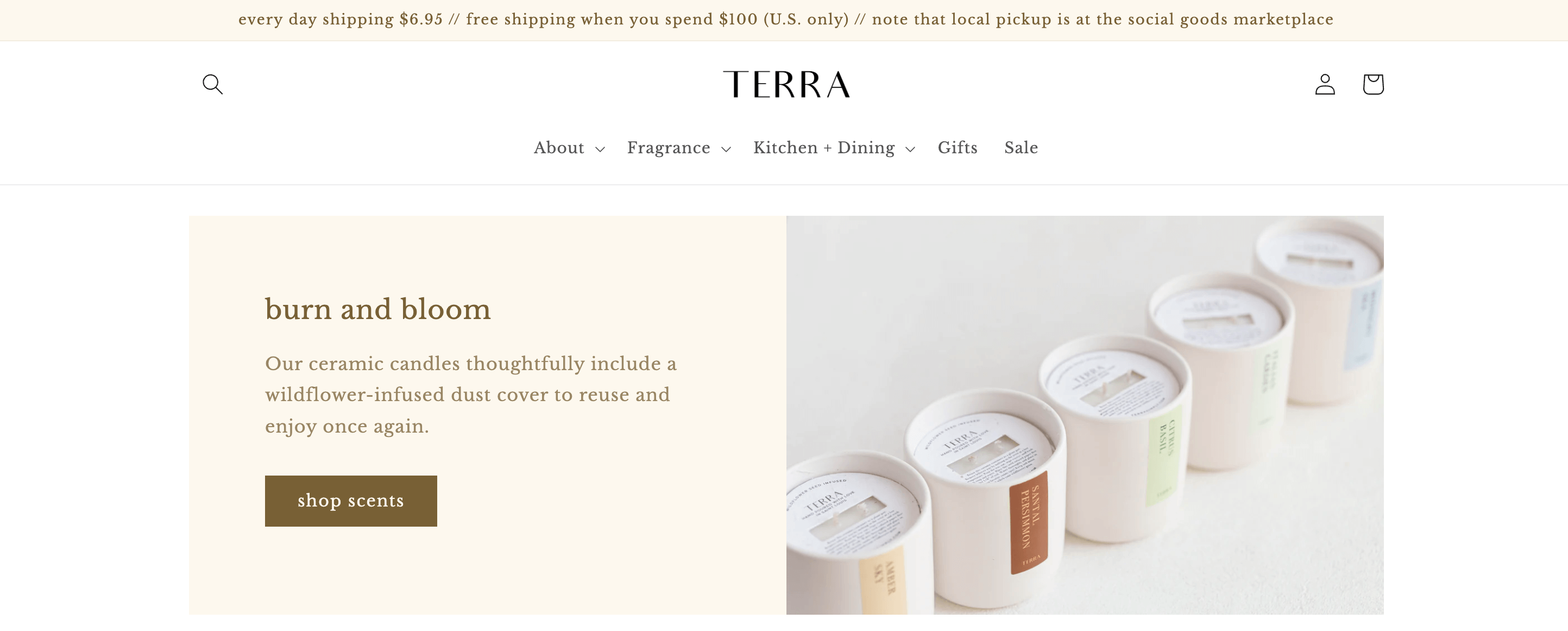 Mental Wellness Brands for World Mental Health Day–A screenshot of TERRA’s homepage showing several of its minimalist ceramic candles. 