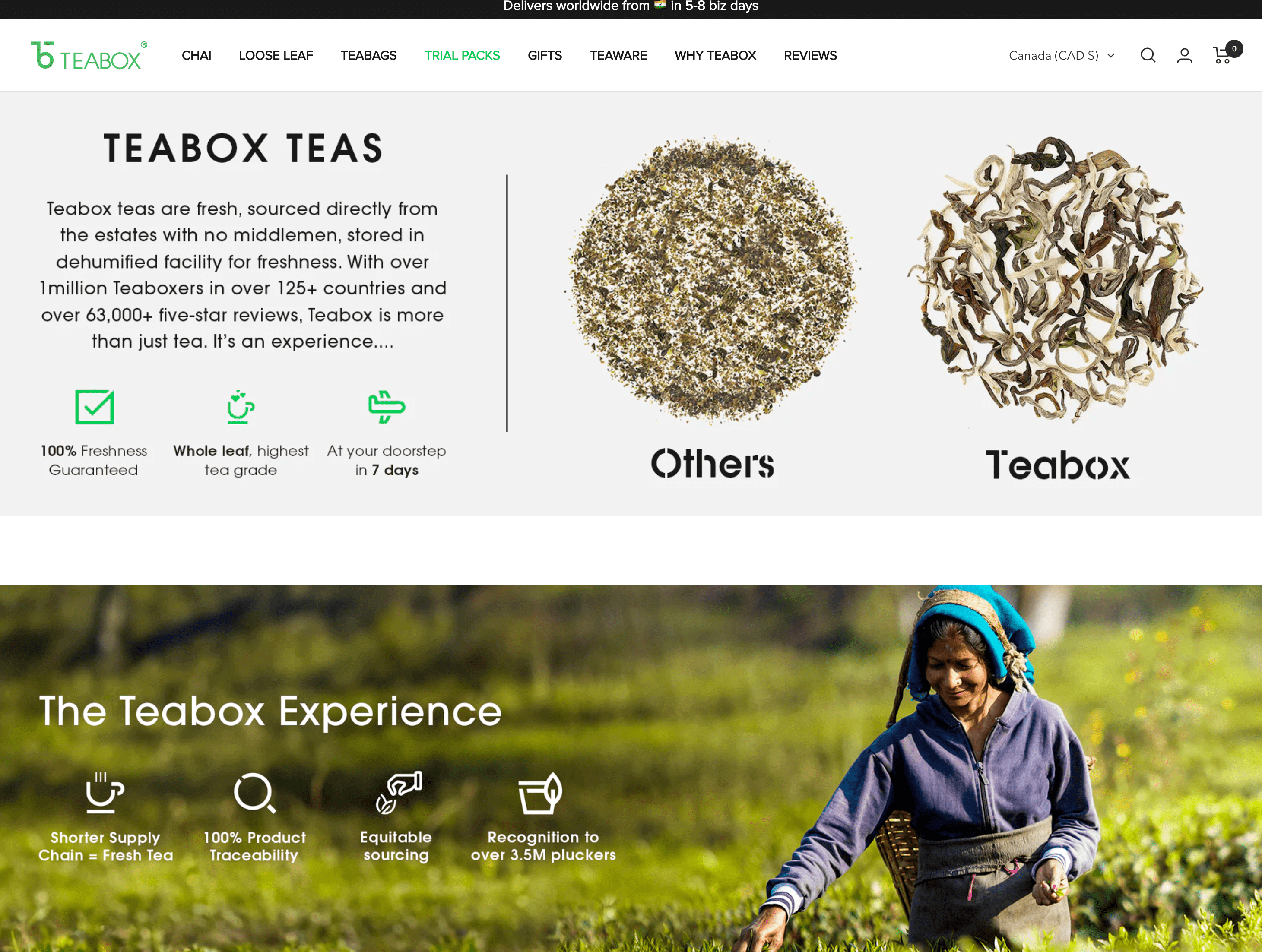 Mental Wellness Brands for World Mental Health Day–A screenshot of Teabox’s homepage with an explanation of the differences between competitor tea brands and Teabox’s products. There is a section below that explains The Teabox Experience in terms of its shorter supply chain, traceability, equitable sourcing, and recognition to over 3.5 million pluckers, with an image of a tea plucker at work in a field.