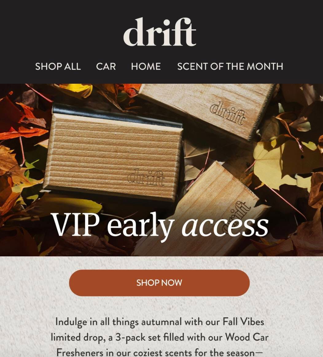 screenshot of ecommerce brand drift email saying VIP early access