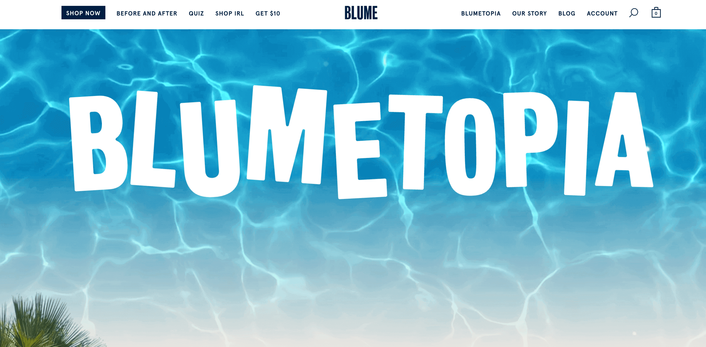 ecommerce example homepage of blumetopia homepage