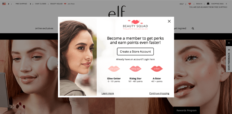 customer segmentation connoisseurs e.l.f. VIP tiers